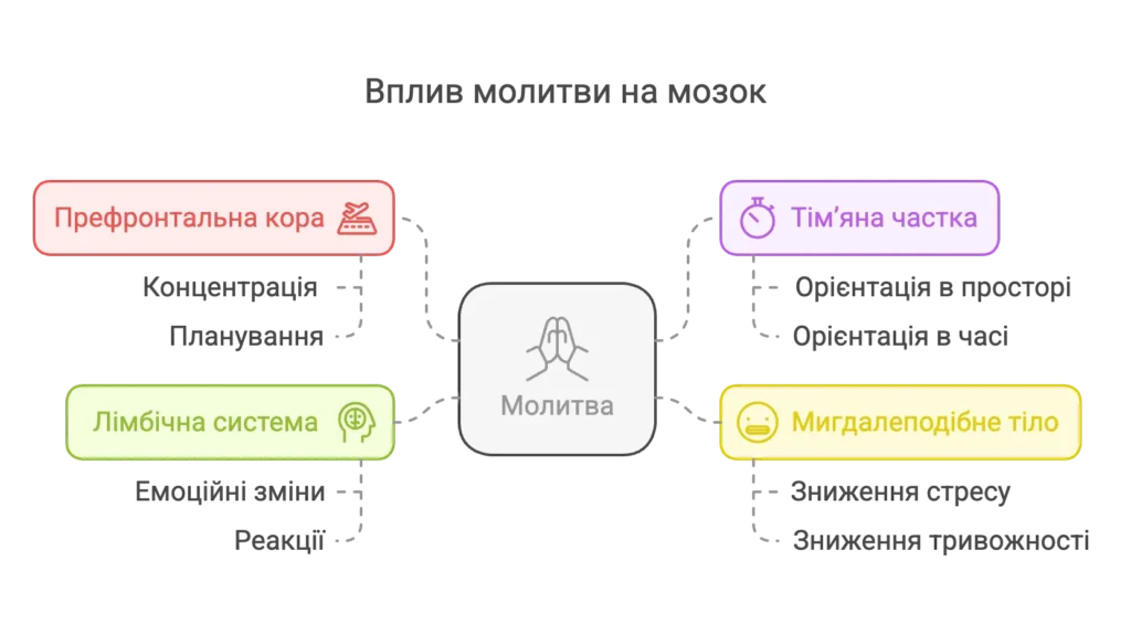 molytva-i-mozok-visual-selection